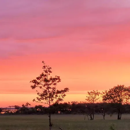 Cozy Log Retreat-by Traum *