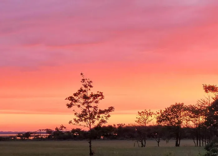 Cozy Log Retreat-by Traum *