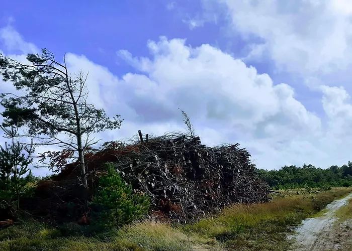 Casa de Férias Cozy Log Retreat-by Traum Oksbøl